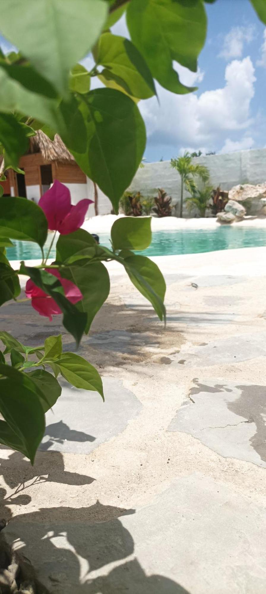 Blue Beach Eco-Hotel By Sanfabini Bayahibe Buitenkant foto